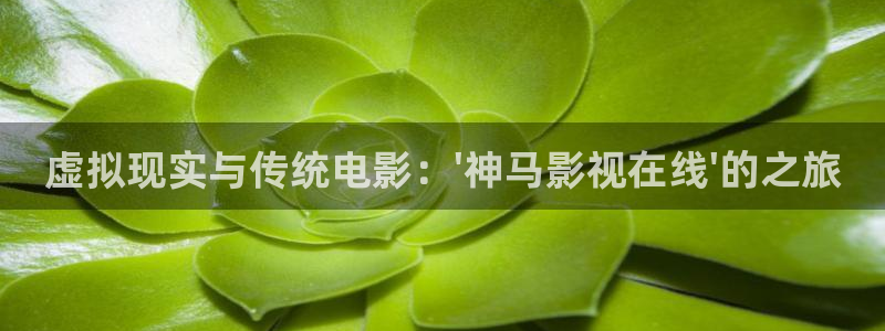 久久久久免费视频
